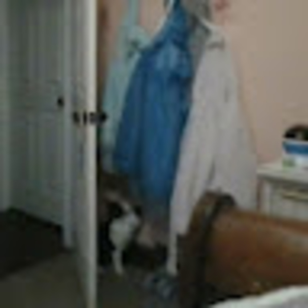 Meet your Posher, Kylee